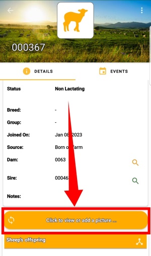 add-user