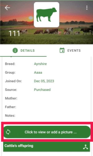 add-user
