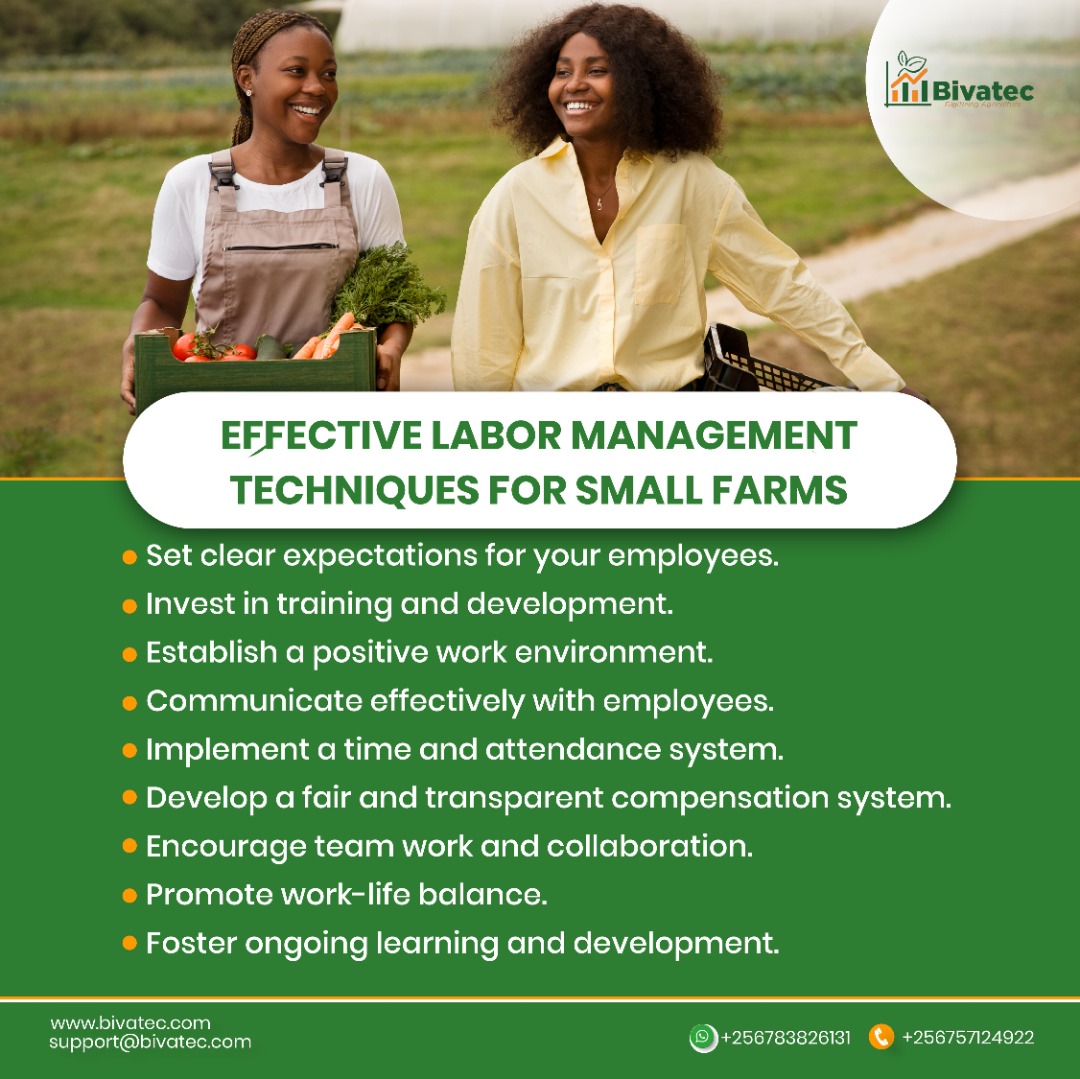 Effective Labor Management Techniques for Small Farms