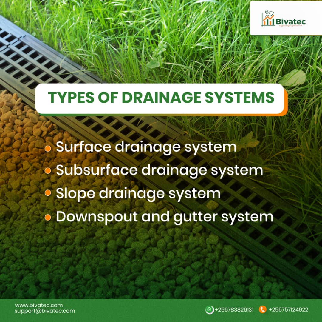 Understanding the Role of Crop Science, Drainage, and Irrigation in Agriculture